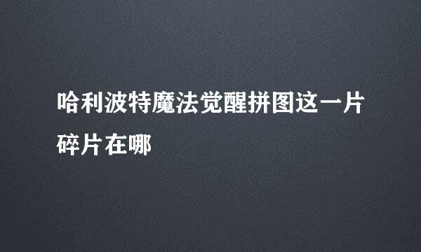 哈利波特魔法觉醒拼图这一片碎片在哪