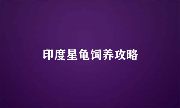 印度星龟饲养攻略