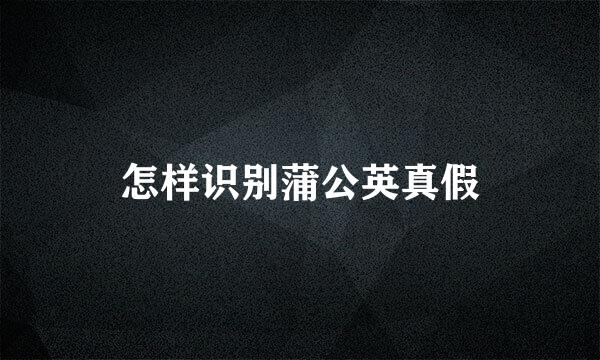 怎样识别蒲公英真假