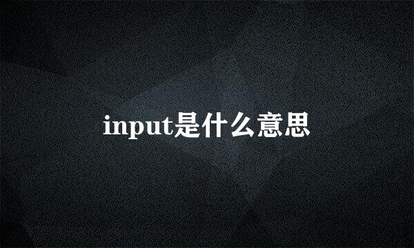 input是什么意思