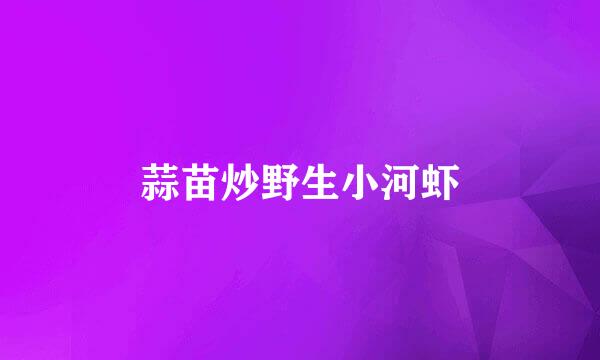 蒜苗炒野生小河虾