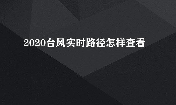 2020台风实时路径怎样查看