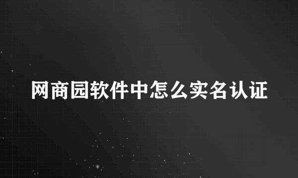 网商园软件中怎么实名认证