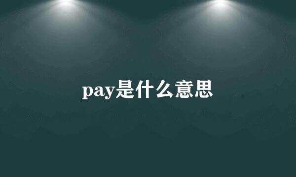 pay是什么意思