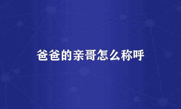 爸爸的亲哥怎么称呼