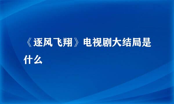 《逐风飞翔》电视剧大结局是什么