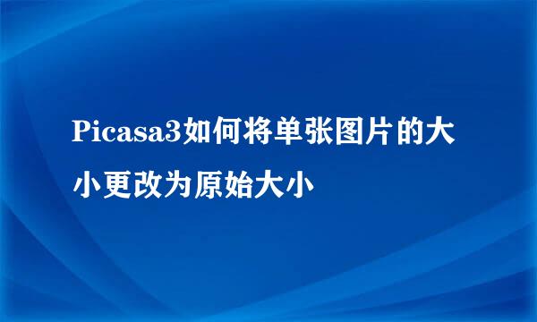 Picasa3如何将单张图片的大小更改为原始大小