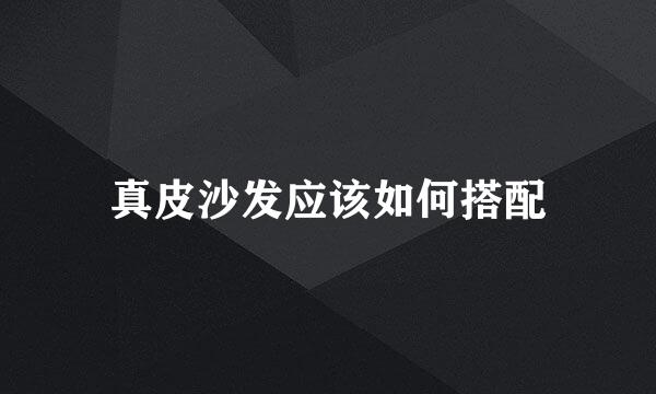 真皮沙发应该如何搭配