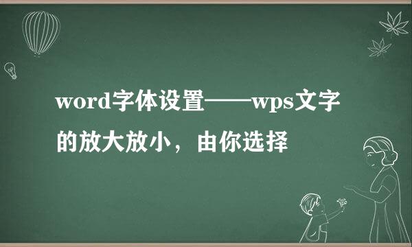 word字体设置——wps文字的放大放小，由你选择
