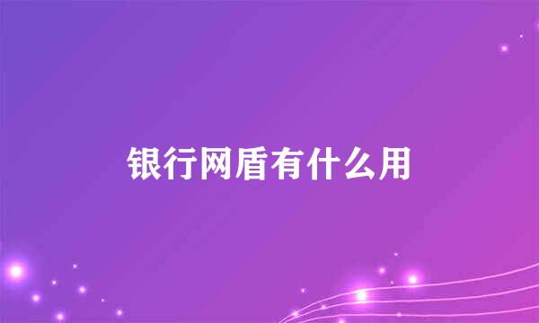 银行网盾有什么用