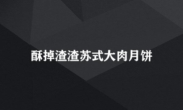 酥掉渣渣苏式大肉月饼