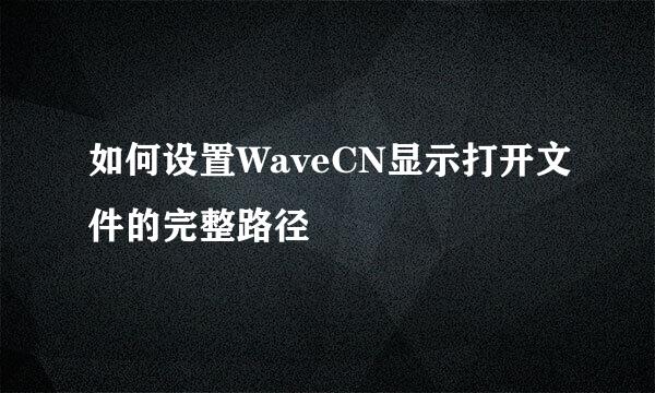 如何设置WaveCN显示打开文件的完整路径