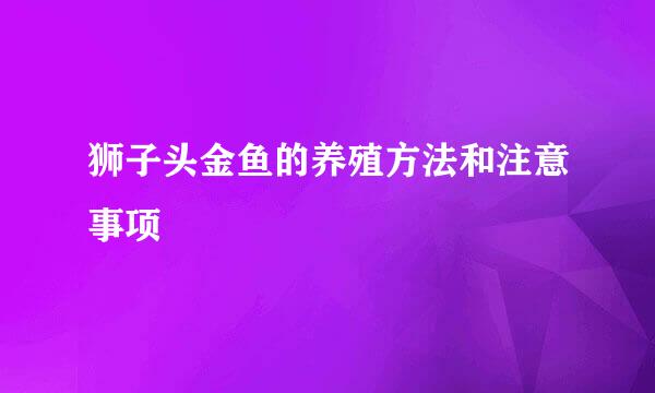 狮子头金鱼的养殖方法和注意事项