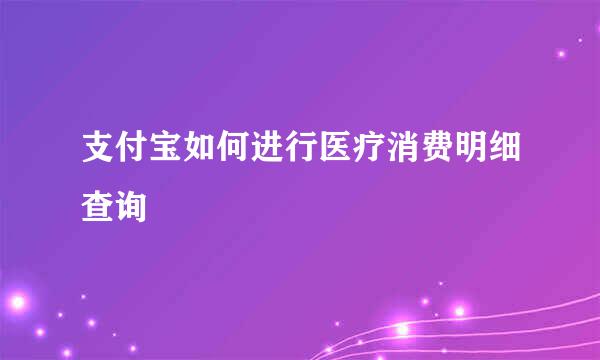 支付宝如何进行医疗消费明细查询