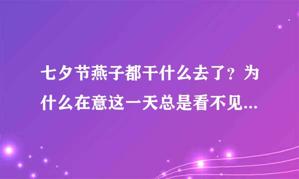 七夕节燕子都干什么去了？为什么在意这一天总是看不见燕子。真的是去搭鹊桥妈