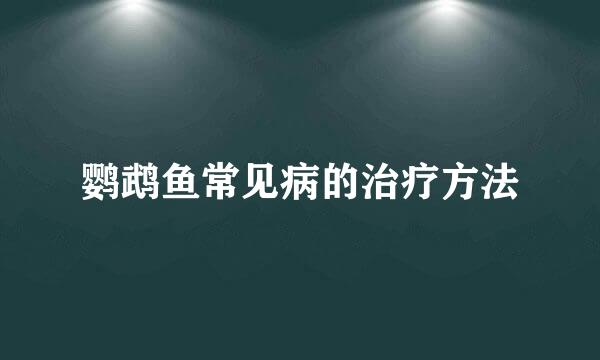 鹦鹉鱼常见病的治疗方法