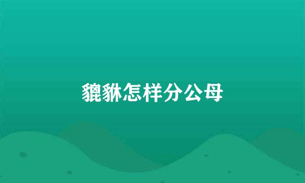 貔貅怎样分公母