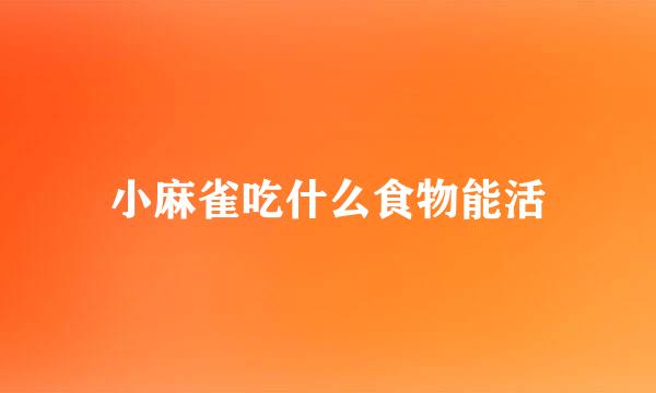 小麻雀吃什么食物能活