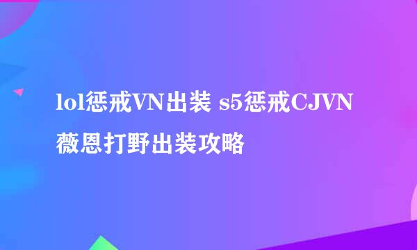 lol惩戒VN出装 s5惩戒CJVN薇恩打野出装攻略