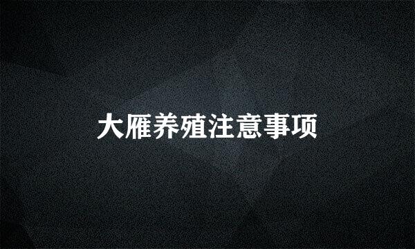 大雁养殖注意事项