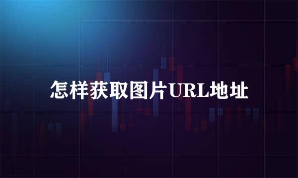 怎样获取图片URL地址