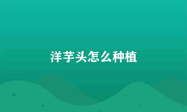 洋芋头怎么种植