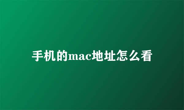 手机的mac地址怎么看