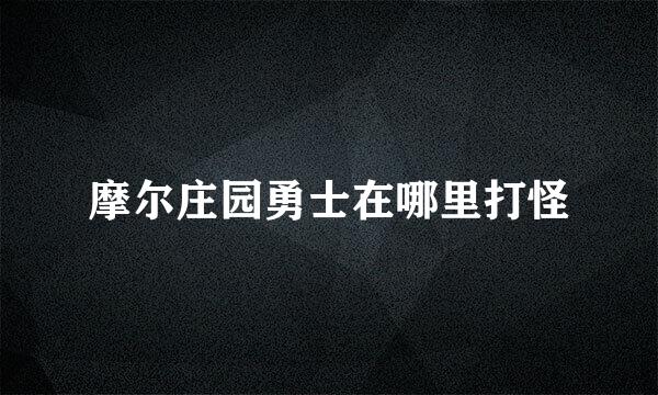 摩尔庄园勇士在哪里打怪