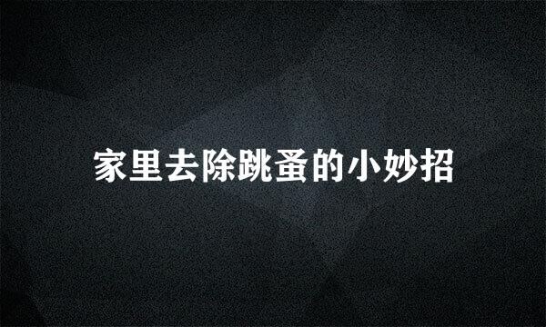 家里去除跳蚤的小妙招