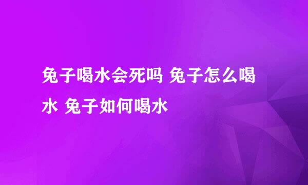 兔子喝水会死吗 兔子怎么喝水 兔子如何喝水