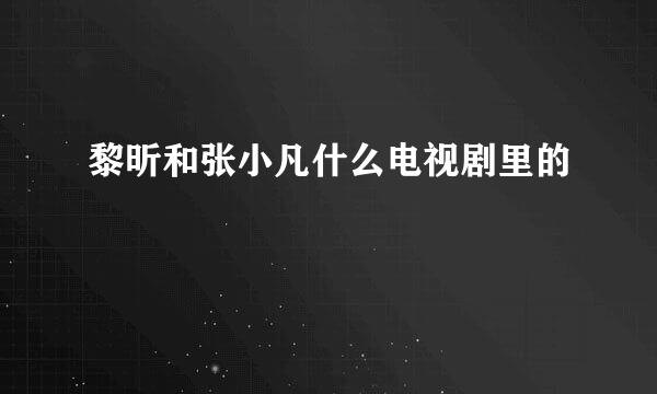 黎昕和张小凡什么电视剧里的