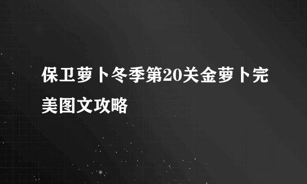 保卫萝卜冬季第20关金萝卜完美图文攻略