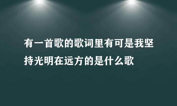 有一首歌的歌词里有可是我坚持光明在远方的是什么歌