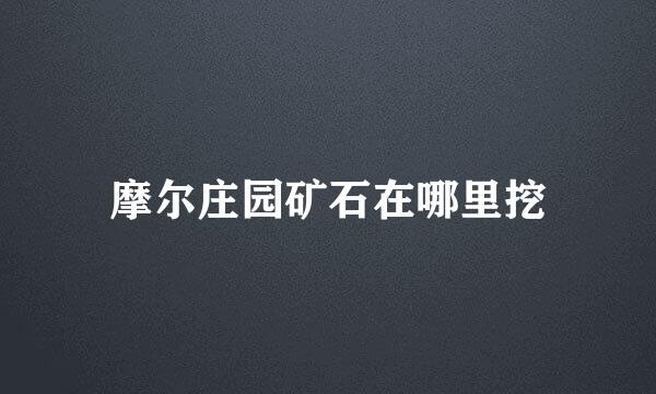 摩尔庄园矿石在哪里挖