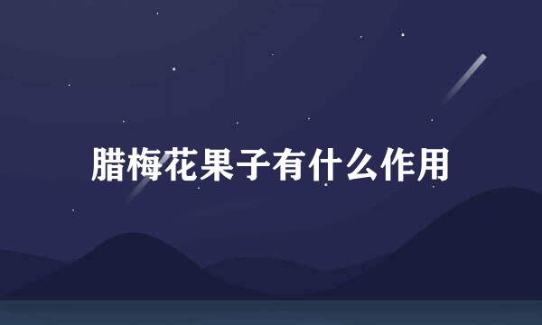 腊梅花果子有什么作用