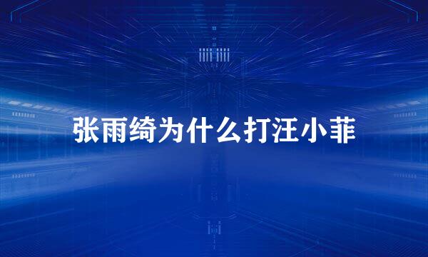 张雨绮为什么打汪小菲