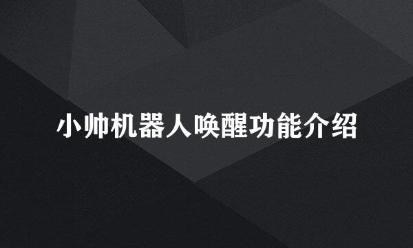 小帅机器人唤醒功能介绍