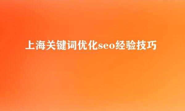 上海关键词优化seo经验技巧