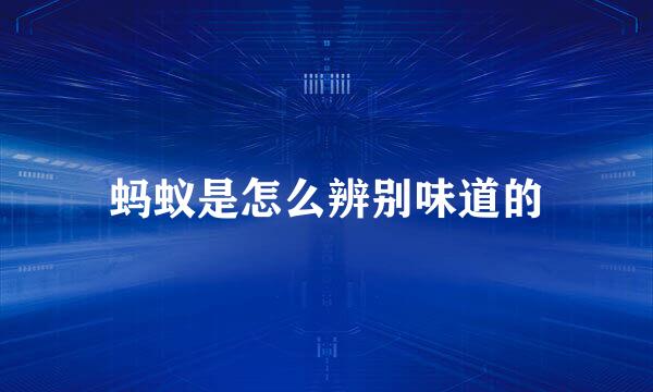 蚂蚁是怎么辨别味道的