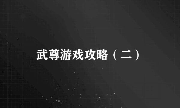 武尊游戏攻略（二）