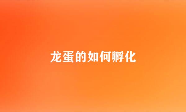 龙蛋的如何孵化