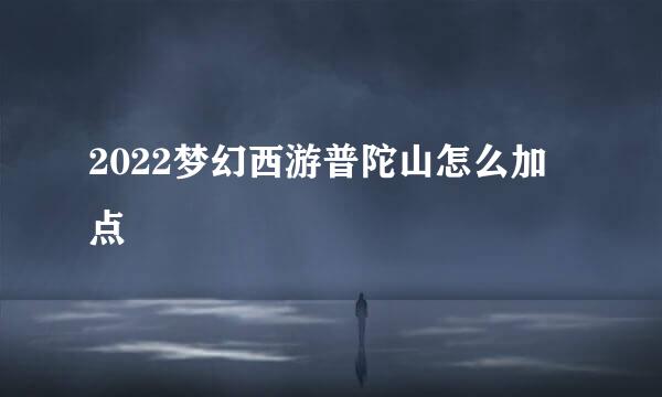2022梦幻西游普陀山怎么加点