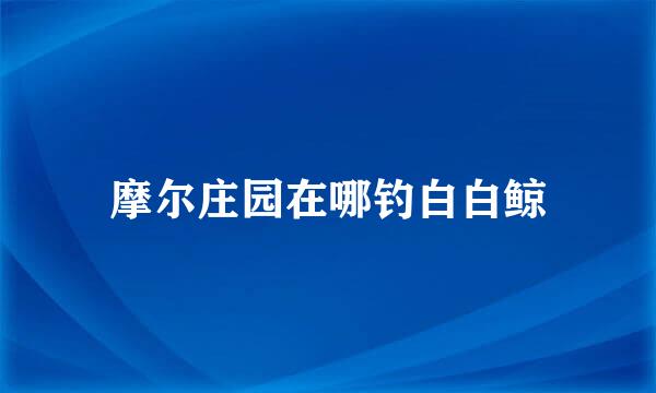 摩尔庄园在哪钓白白鲸