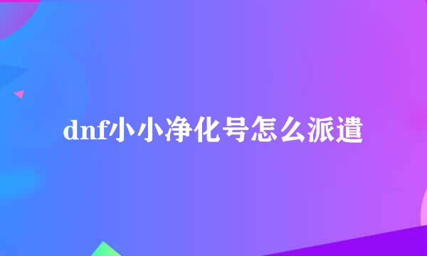 dnf小小净化号怎么派遣