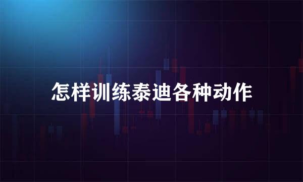 怎样训练泰迪各种动作