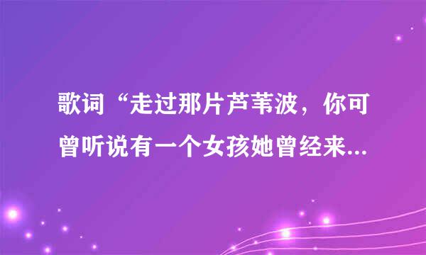歌词“走过那片芦苇波，你可曾听说有一个女孩她曾经来过”歌名是什么