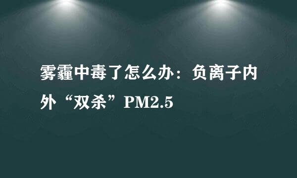 雾霾中毒了怎么办：负离子内外“双杀”PM2.5