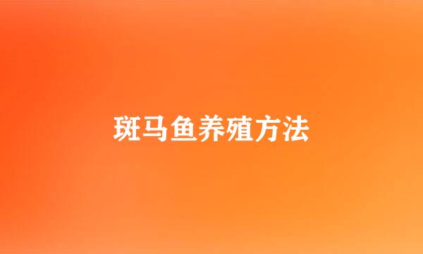 斑马鱼养殖方法