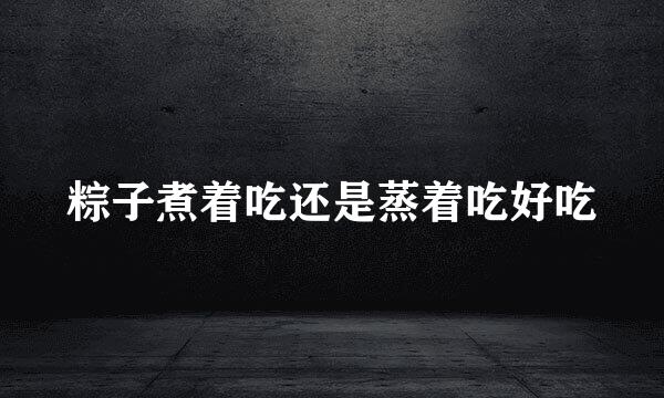 粽子煮着吃还是蒸着吃好吃