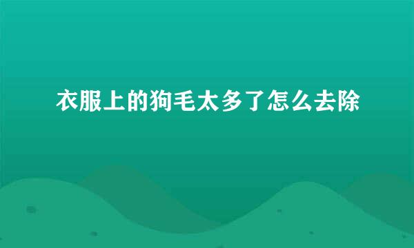 衣服上的狗毛太多了怎么去除